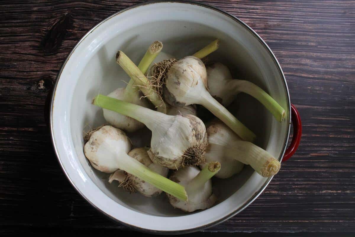 Приготування 1