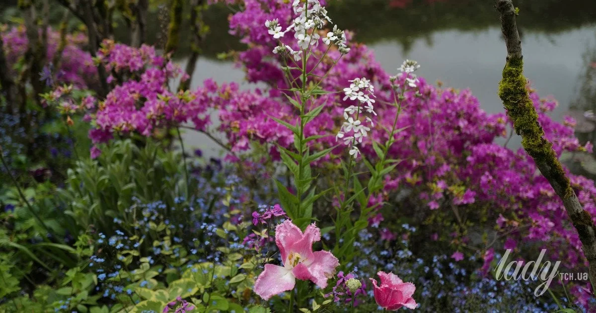 Новина про потепління в Україні в травні