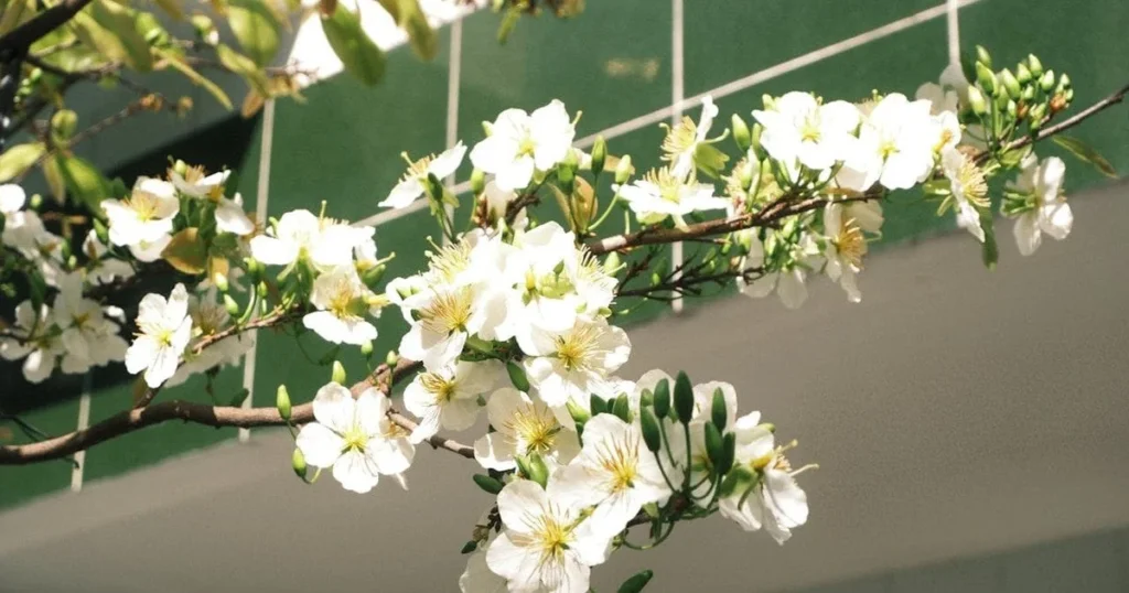 Новина про покращення погоди в Україні: тепліша температура на горизонті