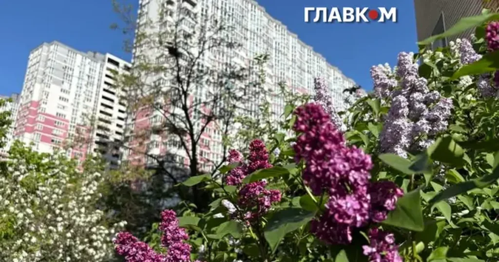 Новина: Погода в Україні стабілізується після дощів