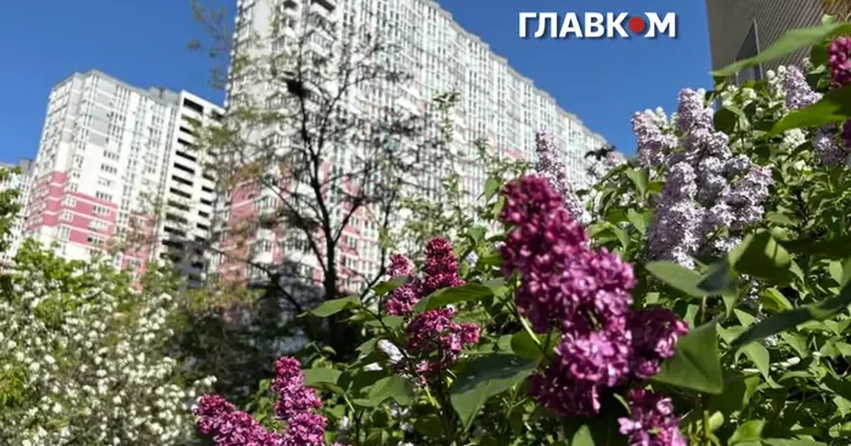 Новина: Погода в Україні стабілізується після дощів