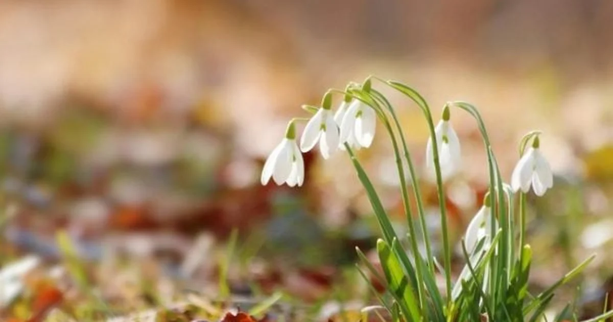 Погода різко змінюється: чому жителям Києва варто бути на чеку?