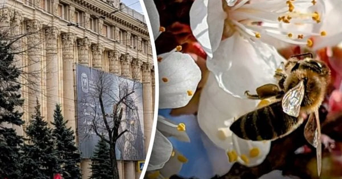 Температура підніметься до +27°: прогнози погоди в Харкові