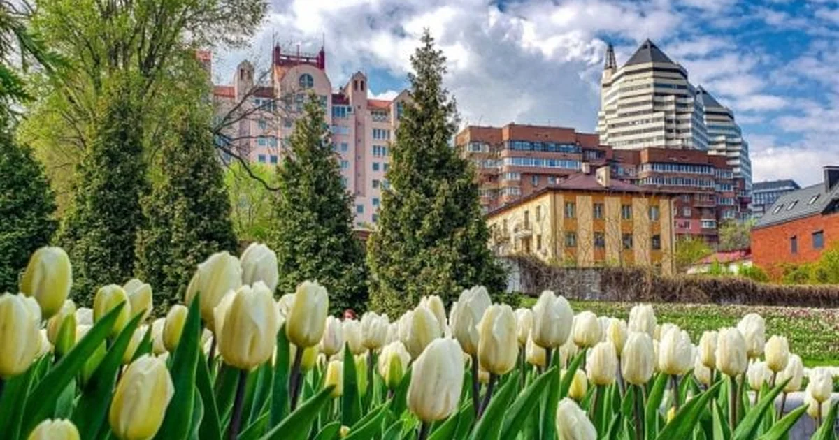 Денний максимум підніметься: температура на Дніпропетровщині