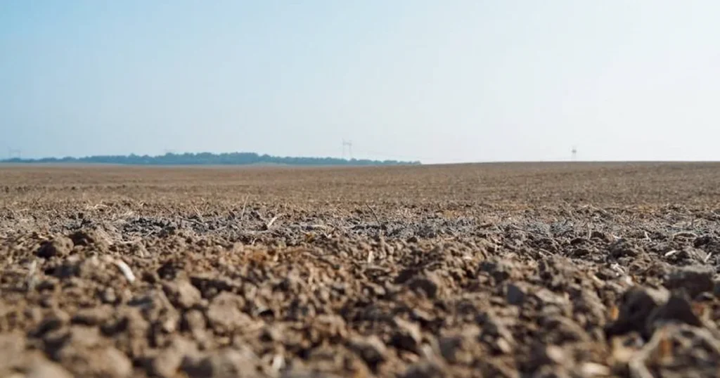 як підвищити доступність фосфору для рослин