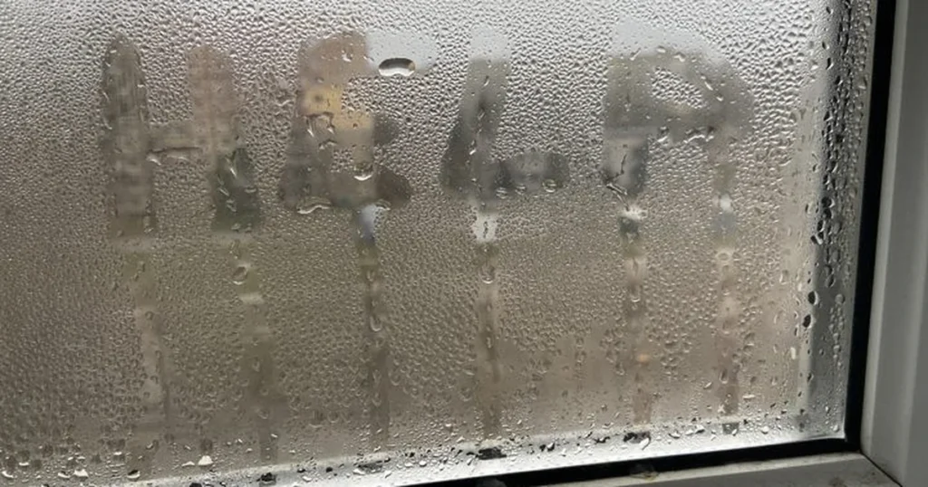 конденсат на вікнах