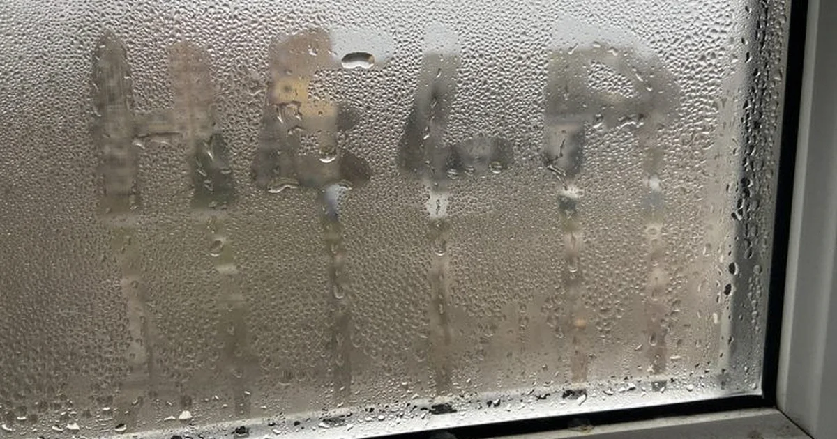 конденсат на вікнах конденсат на вікнах
