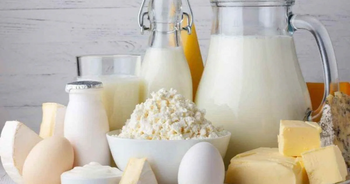молочні продукти користь молочні продукти користь