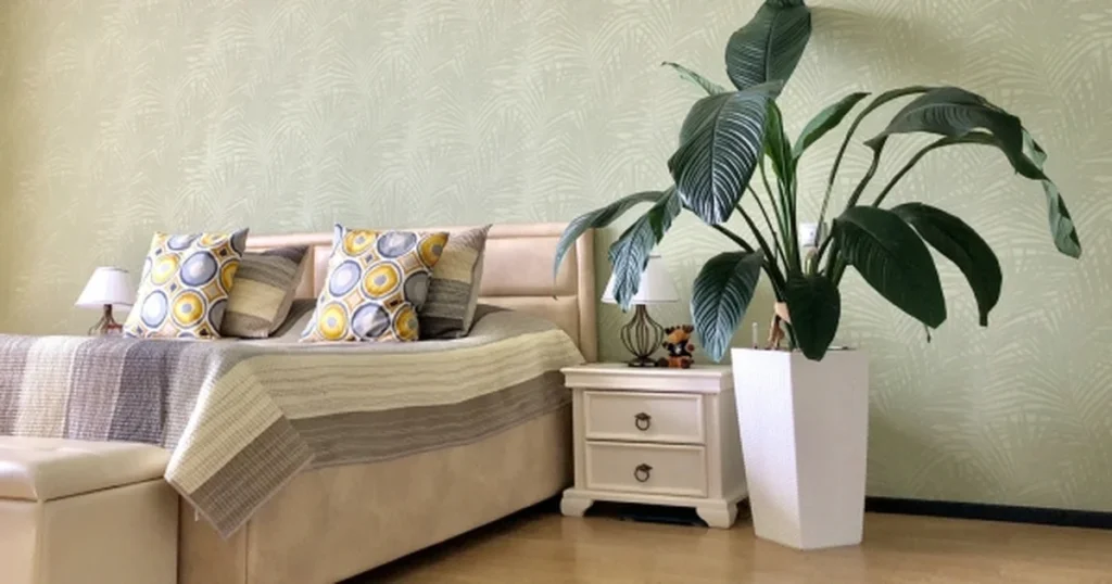Квіти для спальні