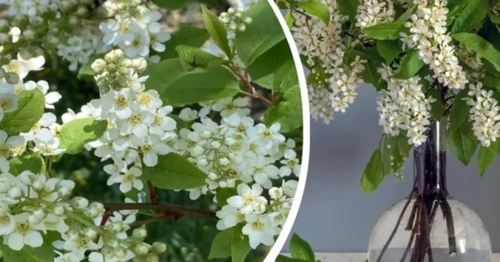 більшість досі каже неправильно