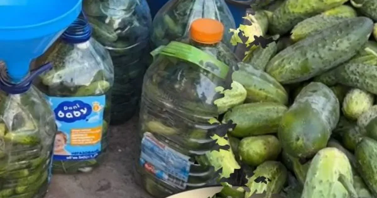 огірки в бутлях без стерилізації