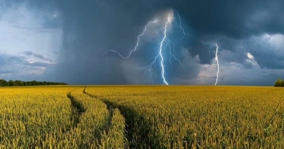 погода в Україні