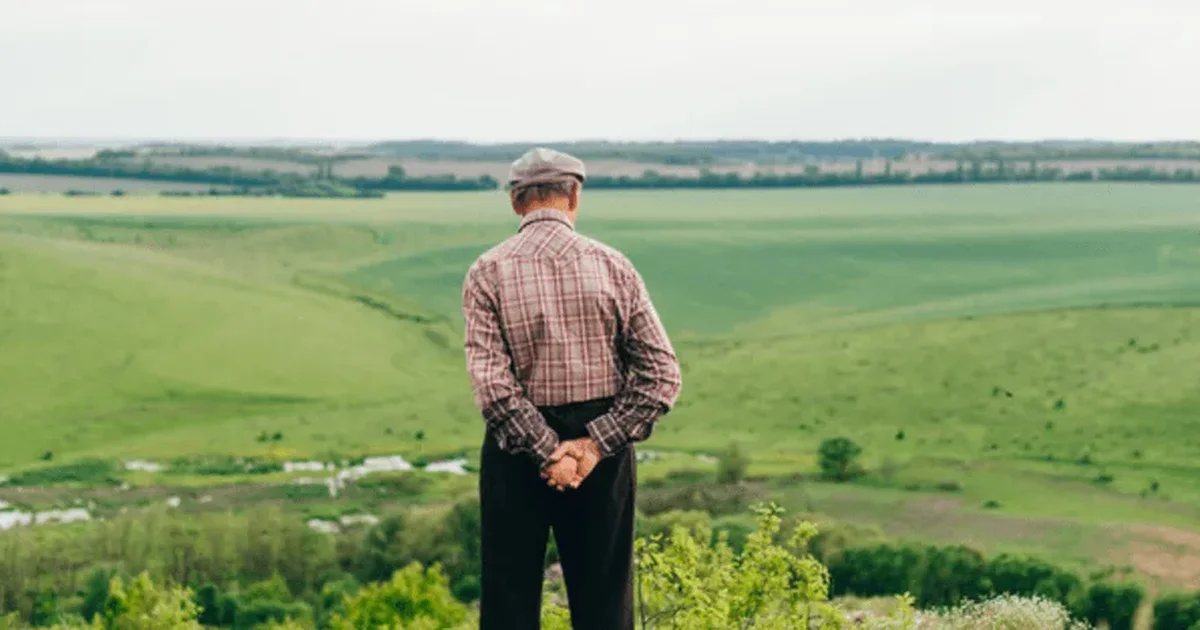 вплив паю на субсидію
